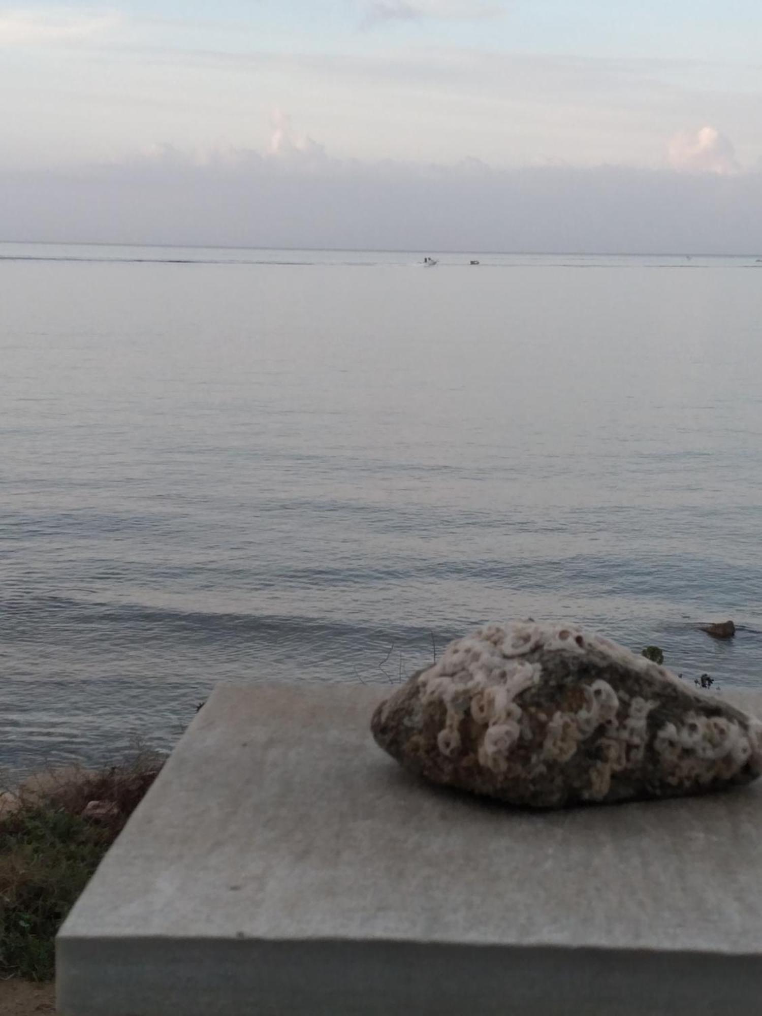 شقة Albatross Seafront House Naxos City المظهر الخارجي الصورة